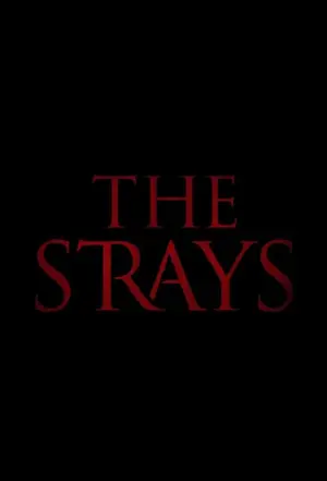 Poster to the movie "The Strays" #116013