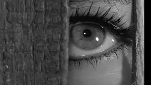 Backdrop to the movie "The Trial" #217769