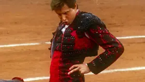 Backdrop to the movie "Afternoons of Solitude" #675265