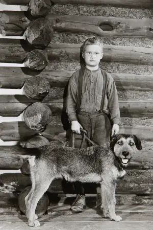 Poster to the movie "Shane" #217405