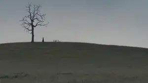 Backdrop to the movie "True Grit" #640476