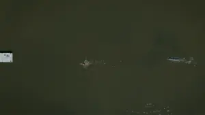 Backdrop to the movie "X" #169789