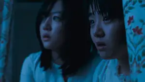 Backdrop to the movie "A Tale of Two Sisters" #810967