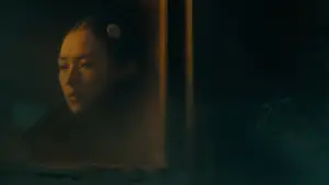 Backdrop to the movie "The Grandmaster" #531966