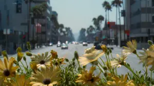 Backdrop to the movie "Adaptation." #671069