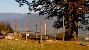 Backdrop to the movie "Dry Leaf" #770895