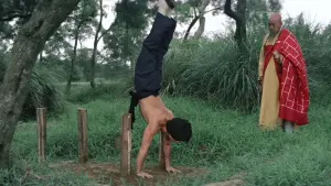 Backdrop to the movie "Shaolin Wooden Men" #400195