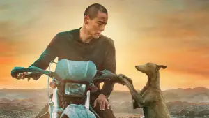 Backdrop to the movie "Black Dog" #600716