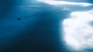 Backdrop to the movie "King Kong" #619962