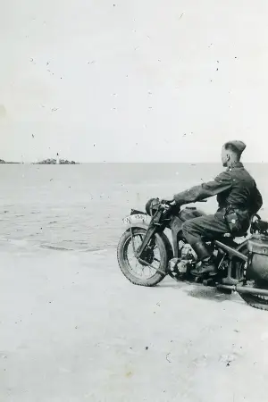 Poster to the movie "The Fox" #758703