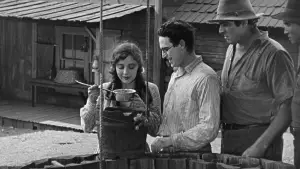 Backdrop to the movie "The Kid Brother" #768023