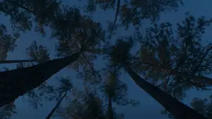 Backdrop to the movie "It Ends" #604365