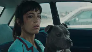 Backdrop to the movie "Vincent Must Die" #430151