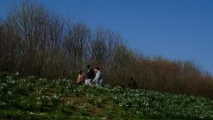 Backdrop to the movie "Le cratère des Hautes-Bruyères" #794808
