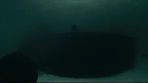 Backdrop to the movie "Black Bag" #570236