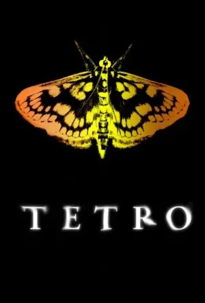 Poster to the movie "Tetro" #724158