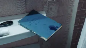 Backdrop to the movie "The Bare Necessity" #705206