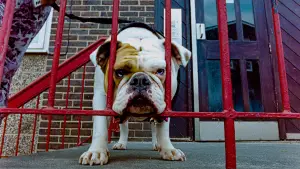 Backdrop to the movie "Bird" #610278