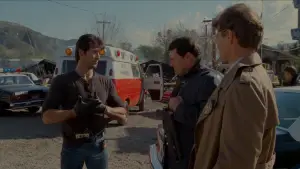 Backdrop to the movie "Cobra" #807041