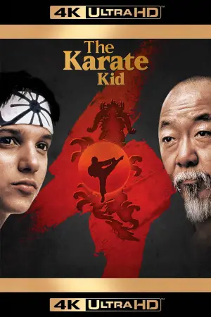 Poster to the movie "The Karate Kid" #649200
