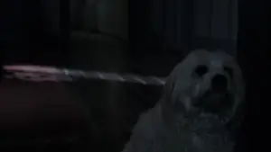 Backdrop to the movie "The Babadook" #660141