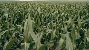 Backdrop to the movie "Interstellar" #797367