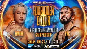 Backdrop to the movie "AEW x NJPW x CMLL x Stardom Present Forbidden Door 2026" #926988