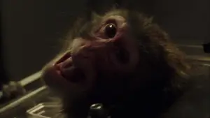 Backdrop to the movie "The Fountain" #791452