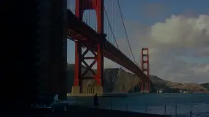 Backdrop to the movie "Vertigo" #635951