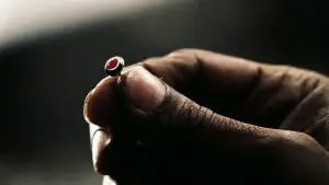 Backdrop to the movie "Déjà Vu" #616239