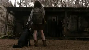 Backdrop to the movie "Evil Dead" #642942