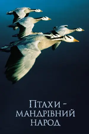 Winged Migration