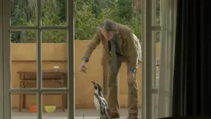 Backdrop to the movie "The Penguin Lessons" #583796