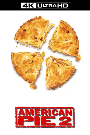 Poster to the movie "American Pie 2" #677872