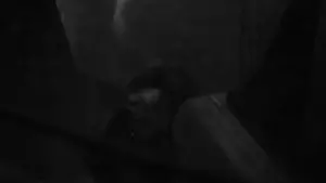 Backdrop to the movie "Penumbra" #351893