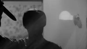 Backdrop to the movie "Psycho" #620128