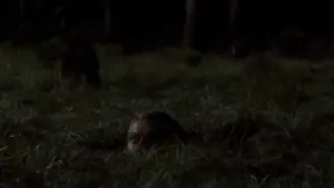 Backdrop to the movie "The Great Escape" #751815