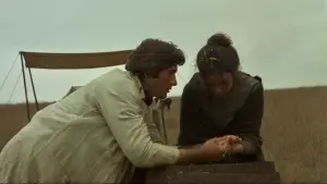 Backdrop to the movie "Days of Heaven" #716429