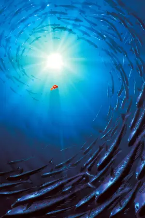 Poster to the movie "Finding Nemo" #171062