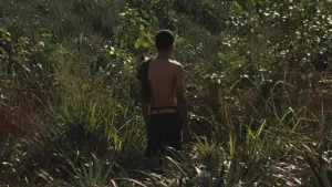 Backdrop to the movie "Ashes and Echoes" #561418