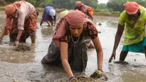 Backdrop to the movie "Bison Kaalamaadan" #786341
