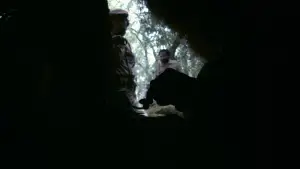 Backdrop to the movie "Che: Part Two" #745120