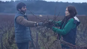 Backdrop to the movie "Back to Burgundy" #255073