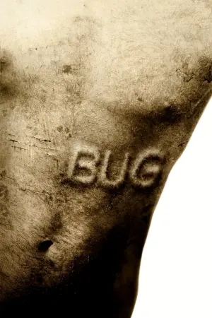 Poster to the movie "Bug" #304275