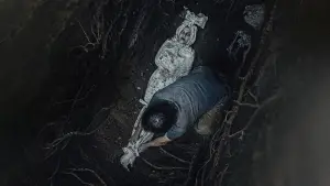 Backdrop to the movie "Call of The Dead" #630886