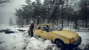 Backdrop to the movie "Animals in War" #692689