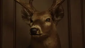 Backdrop to the movie "Get Out" #580701