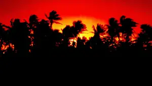 Backdrop to the movie "Jurassic Park" #598001