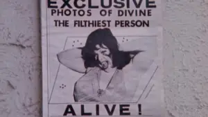 Backdrop to the movie "Pink Flamingos" #612031