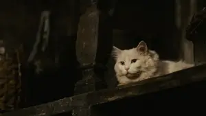 Backdrop to the movie "Perfume: The Story of a Murderer" #630920